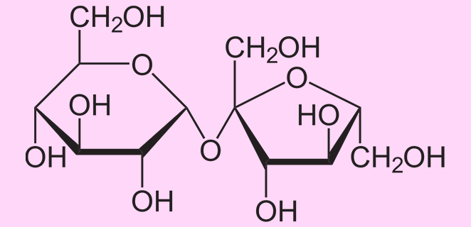 سكروز