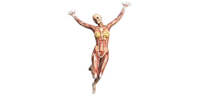 التهاب ليفي