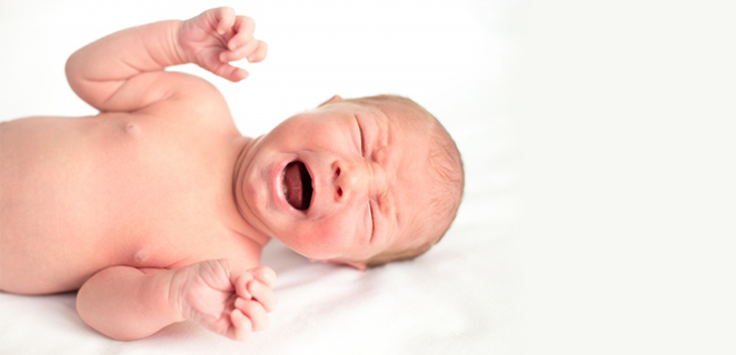 انشقاق العمود الفقري