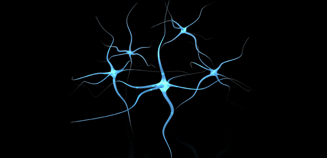 ورام ليفي عصبي