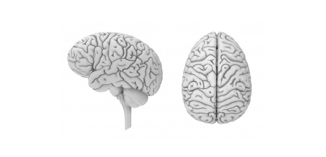 كثارة التلافيف