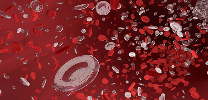 حمى نقص العدلات