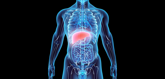 ازالة السمية