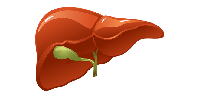 يرقان ركودي