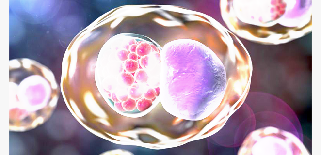 داء المتدثرات