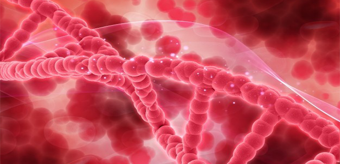 كثرة الكريات المكورة الوراثي