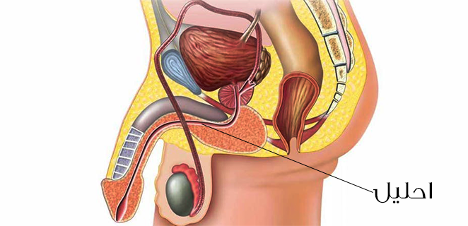 نزيف الاحليل