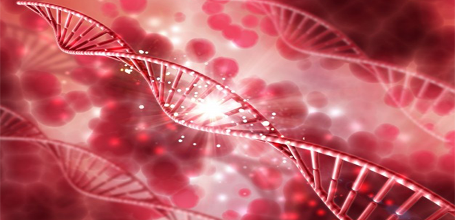 داء الهيموغلوبين سي