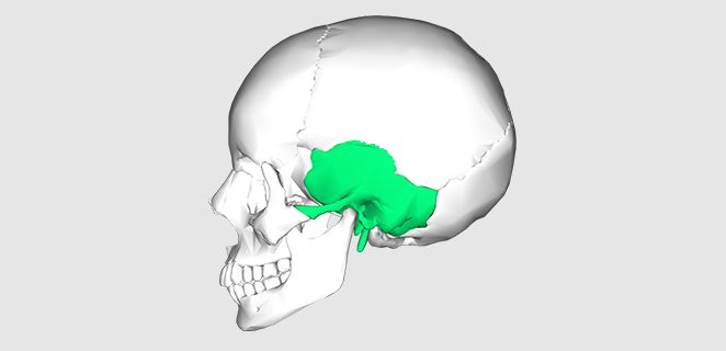 التهاب جنيب الخشاء