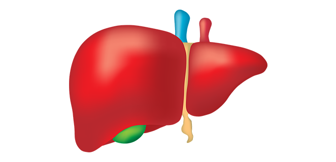 التهاب الكبد السمي