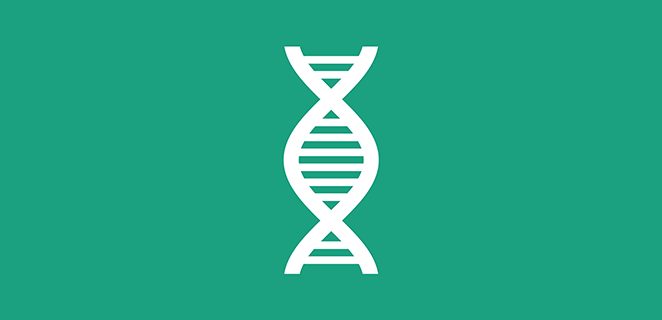 متلازمة بارديه بيدل