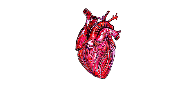 مضخة البالون داخل الابهر