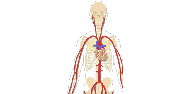 متلازمة الاجوف العلوي