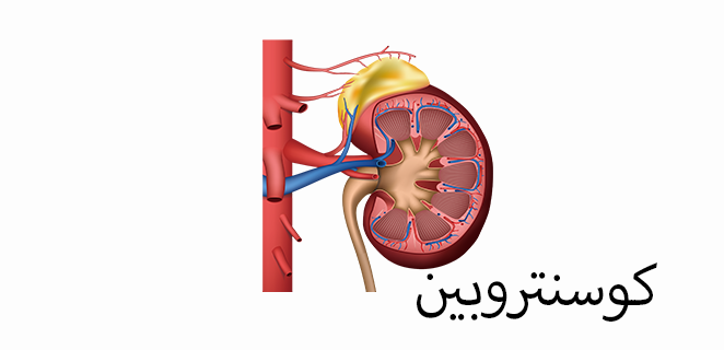 كوسنتروبين