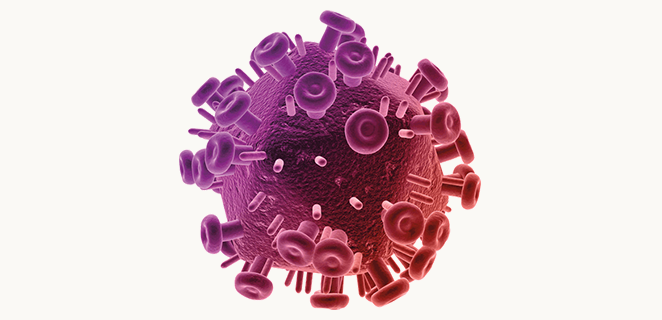 فيروس هربسي