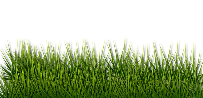 مدر الصفراء