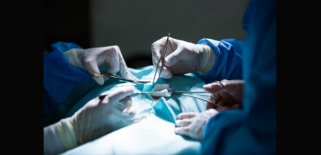 راب الاحليل