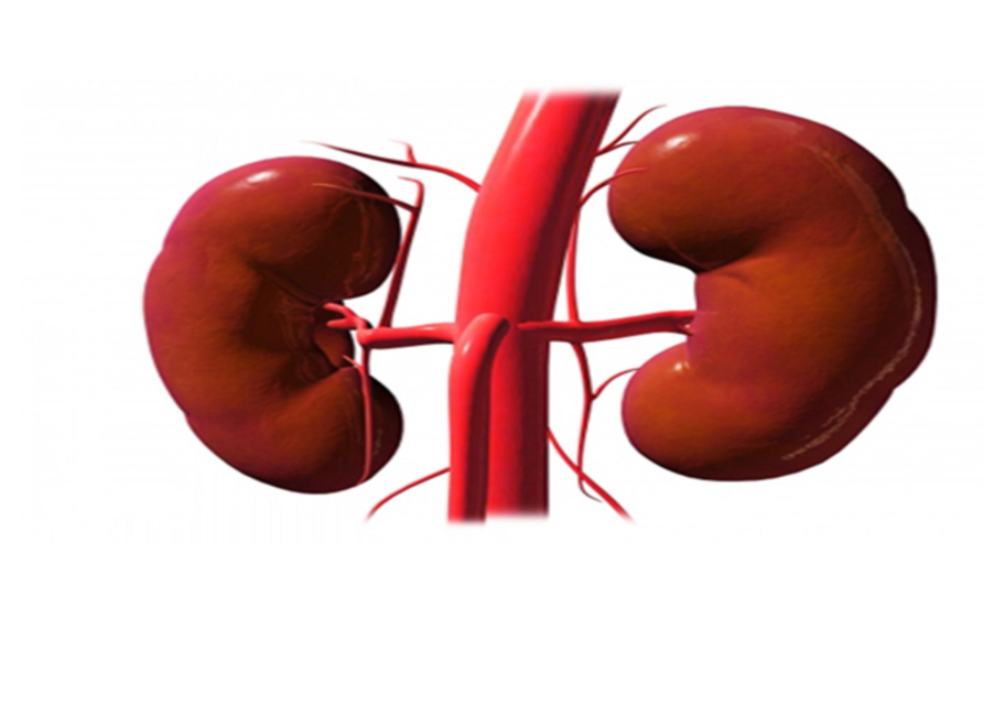 التهاب الكلوة الذئبي