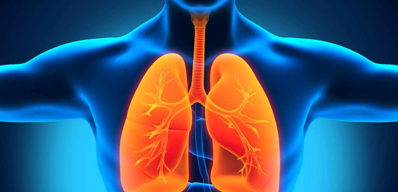 المرتشحات الرئوية