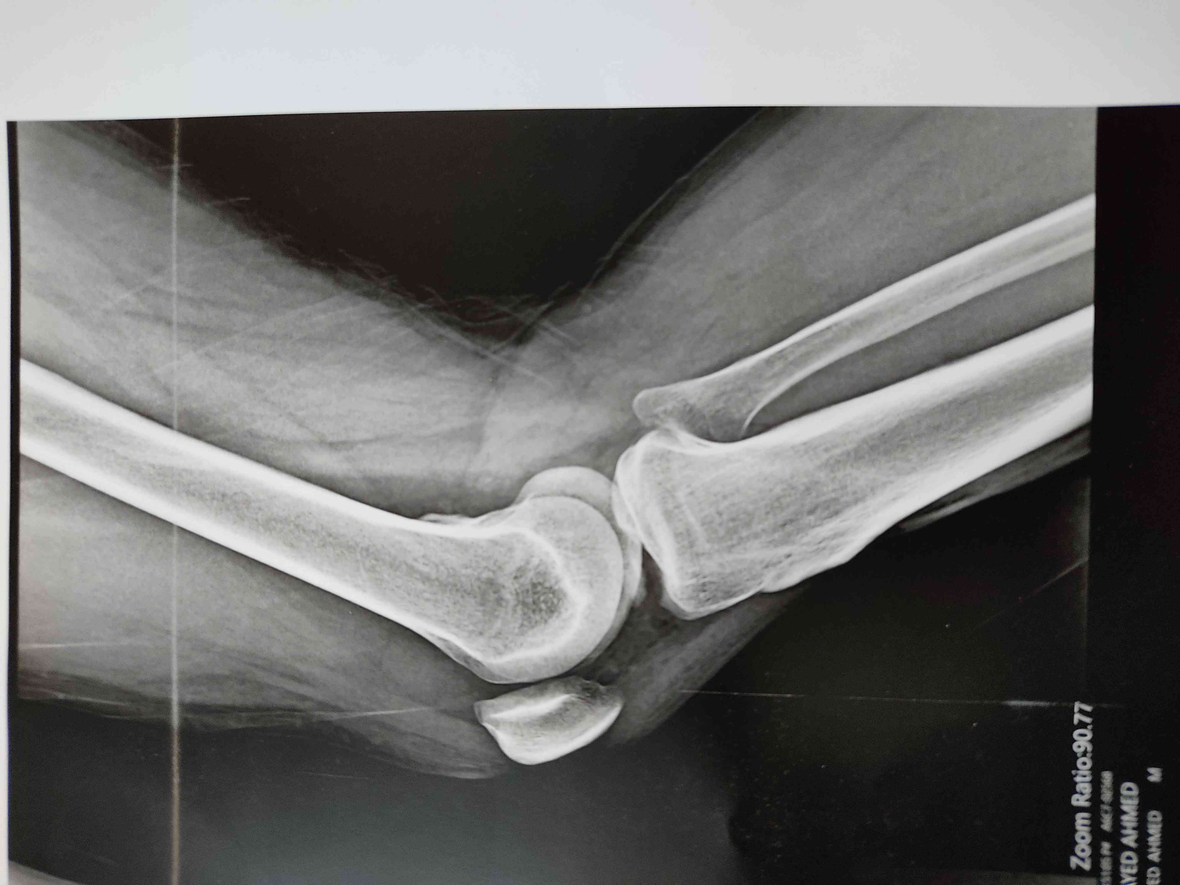 4045a103-5c16-4de6-9394-d29f1f382867