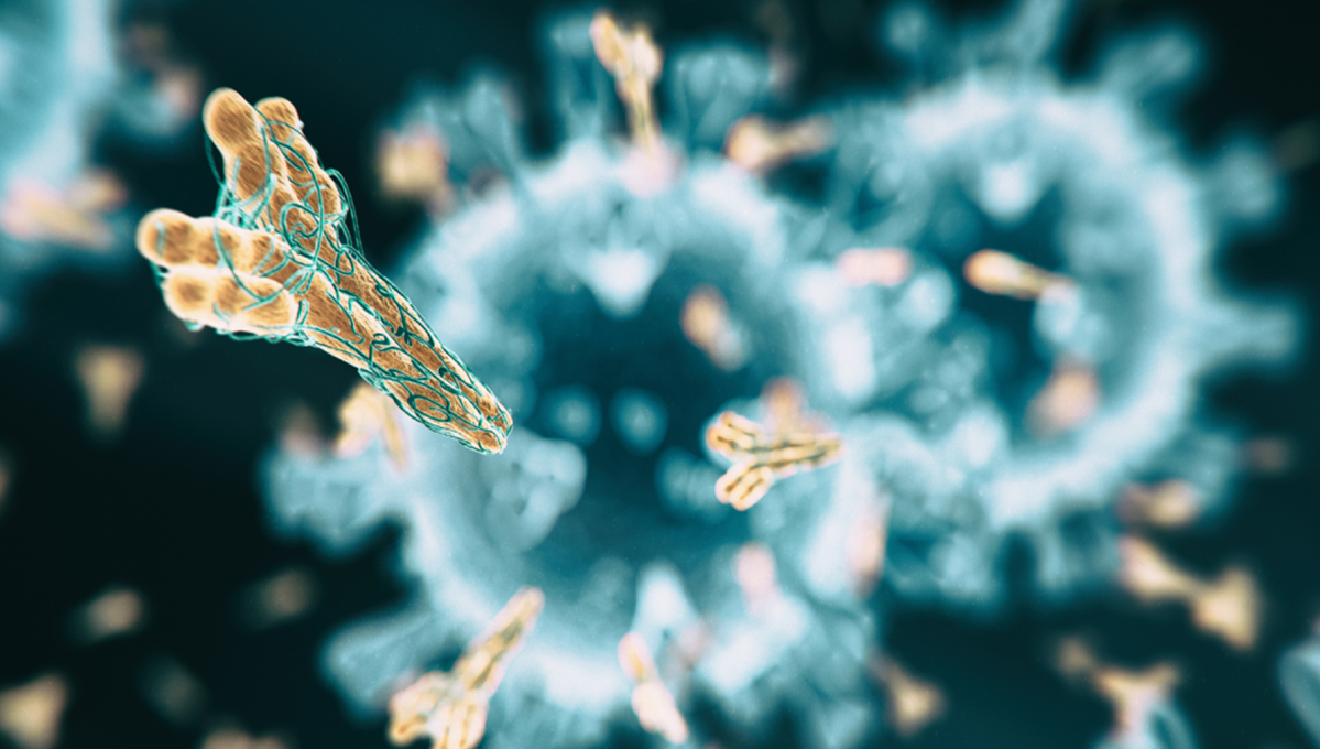 انقلاب تفاعلية المصل