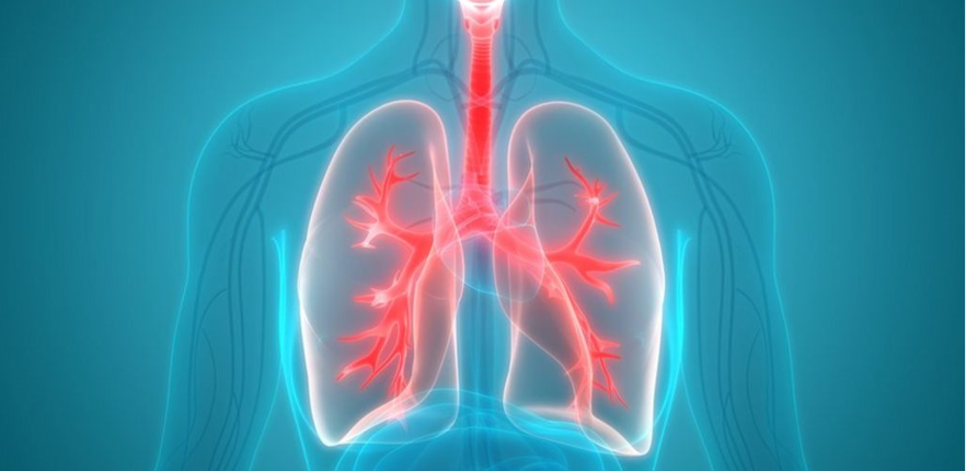 فرط الكربمية