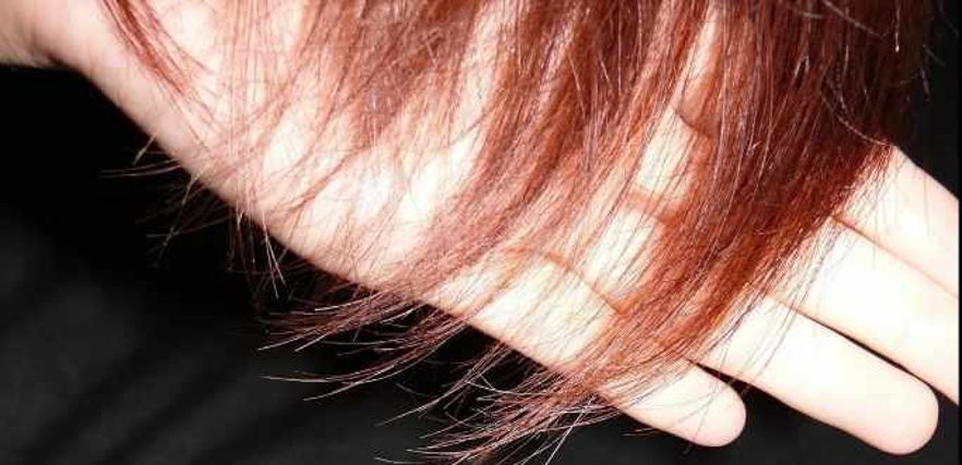 تقصف الشعر العقد