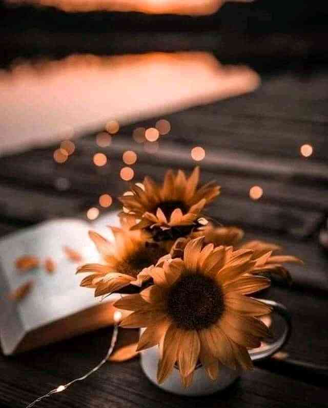 c54d5d67-4e71-4eb0-8856-27d8fe52ff7b