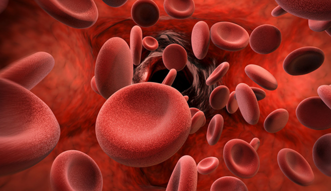 فقر الدم الوراثي