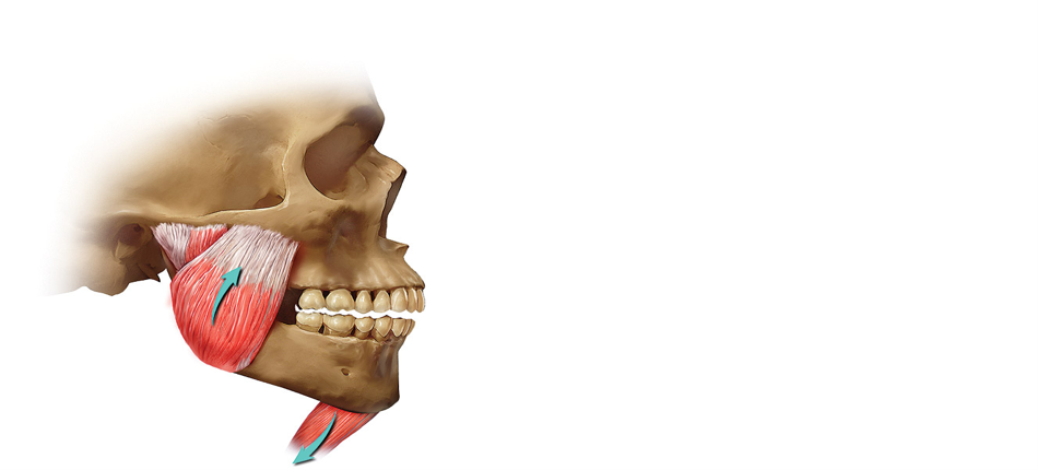 وضعية الراحة الفيزيولوجية