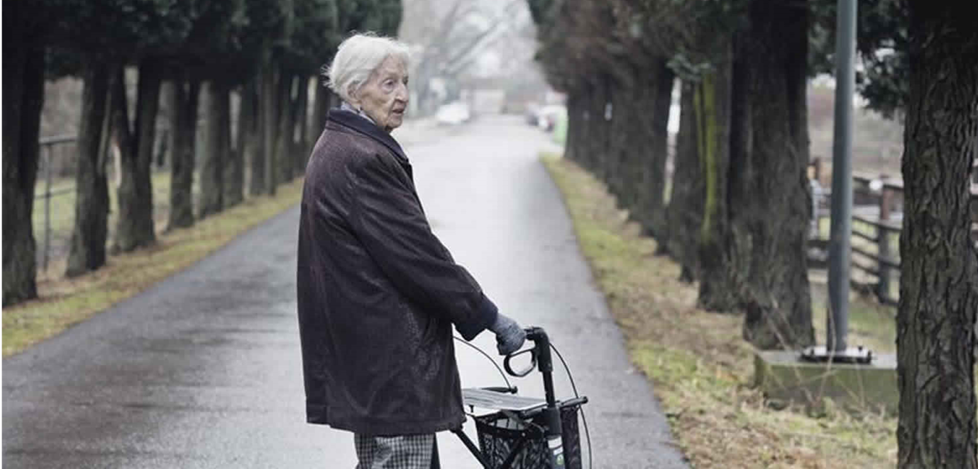 شرود انشقاقي