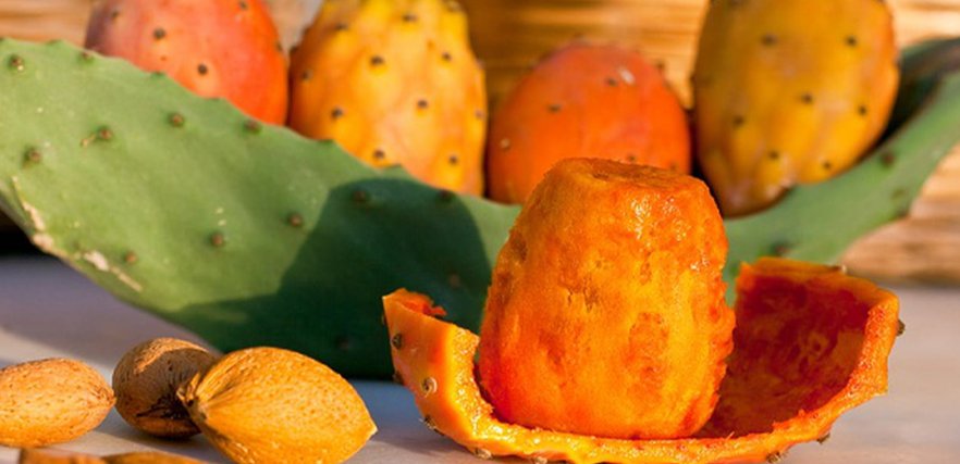 التين الشوكي