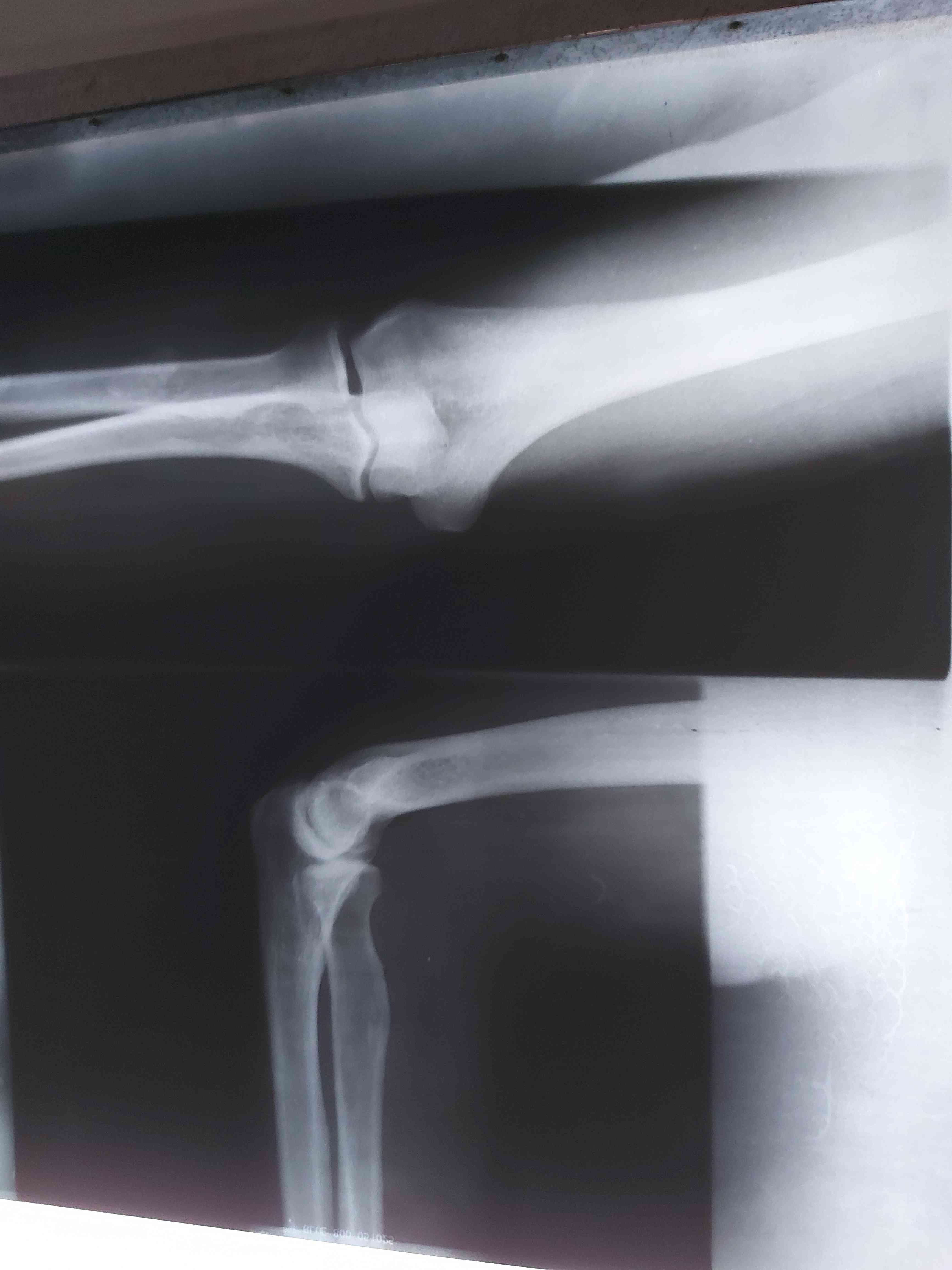 cfe5bdbc-5f6c-44c3-87e0-5f5cca51c31f