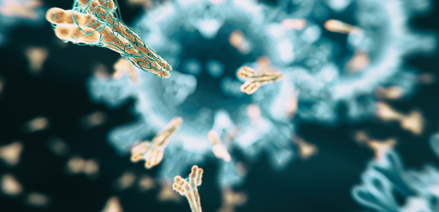 الغلوبولين المناعي ه