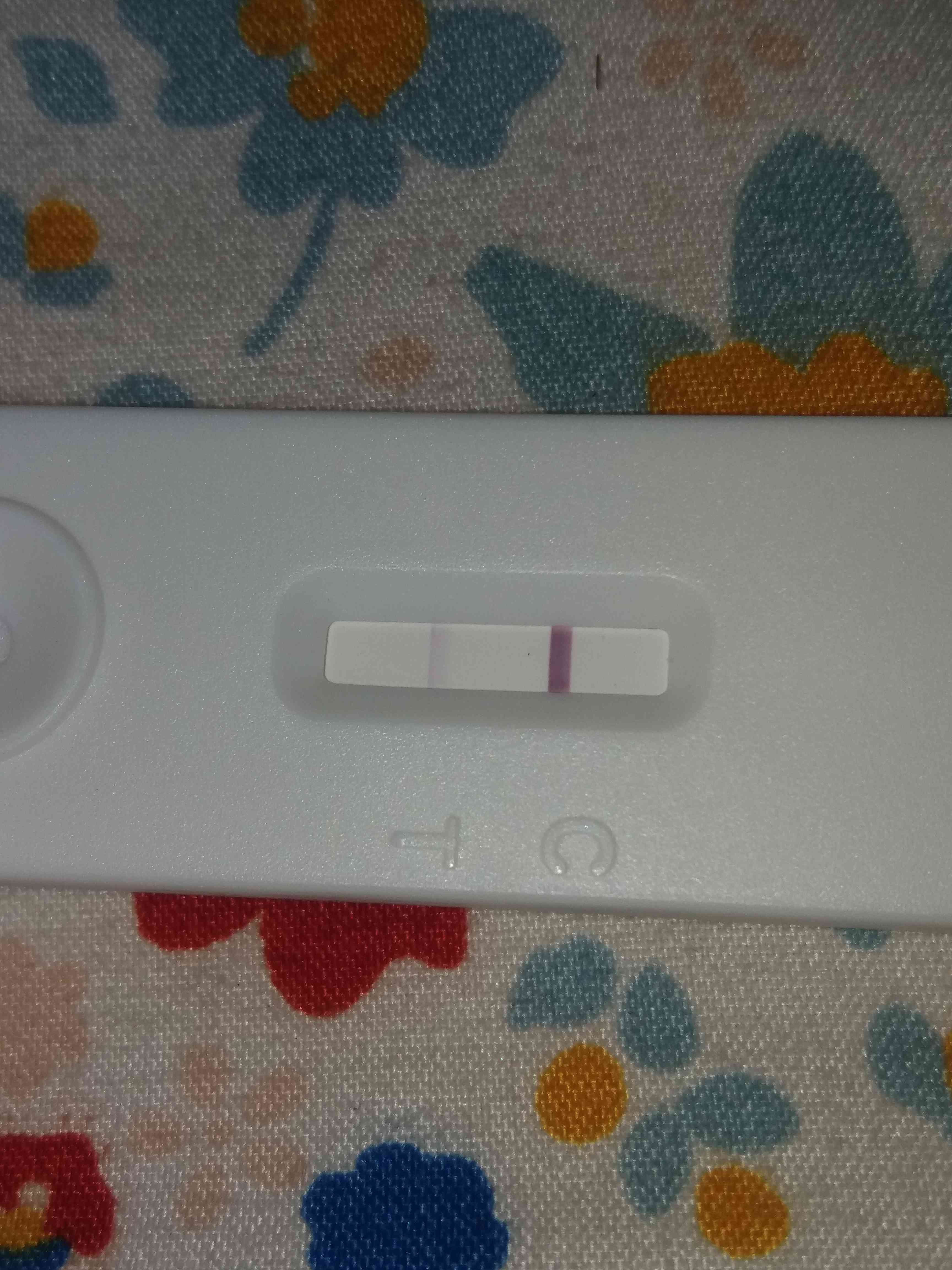 c5e310ab-345d-4418-a14f-f36893f9e1e8