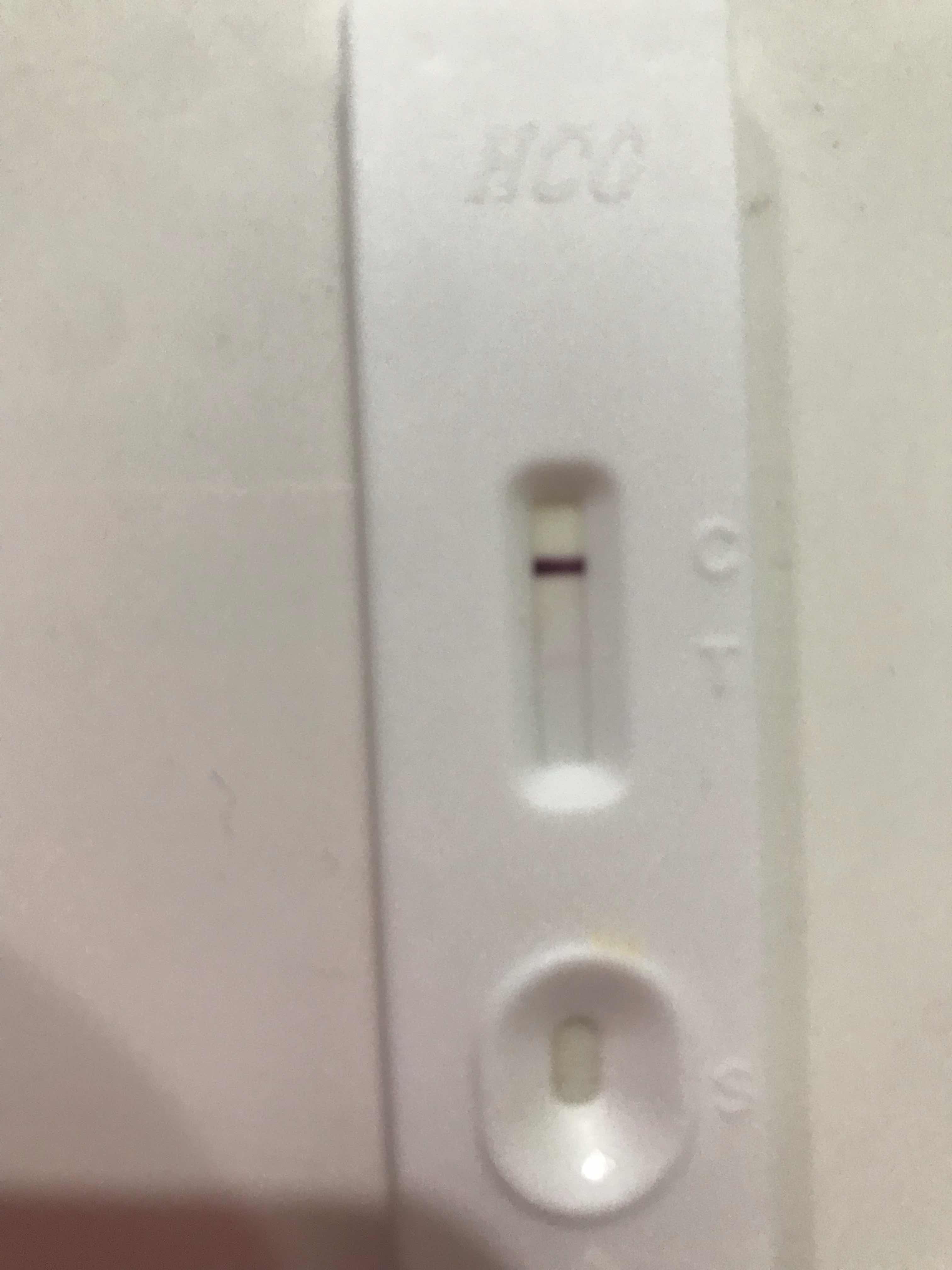 D836EE99-AC68-4A00-84A9-7DE30478818E