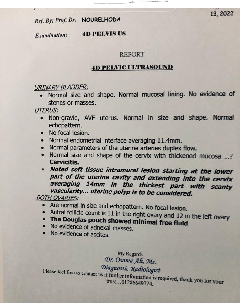 4D ULTRA SOUND REPORT