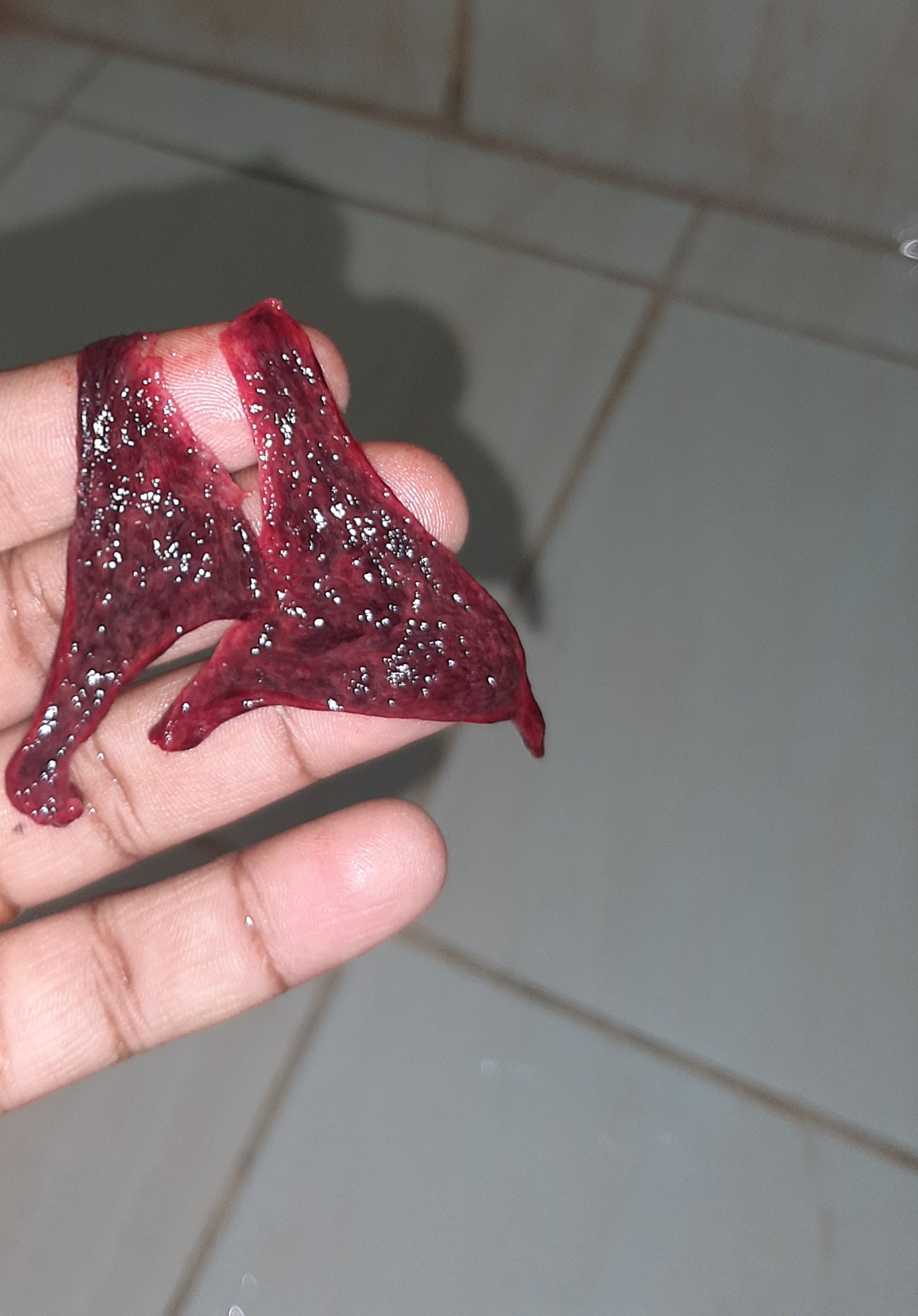 ٢٠٢٢٠٣١٣_٠٧٣٠٤٠