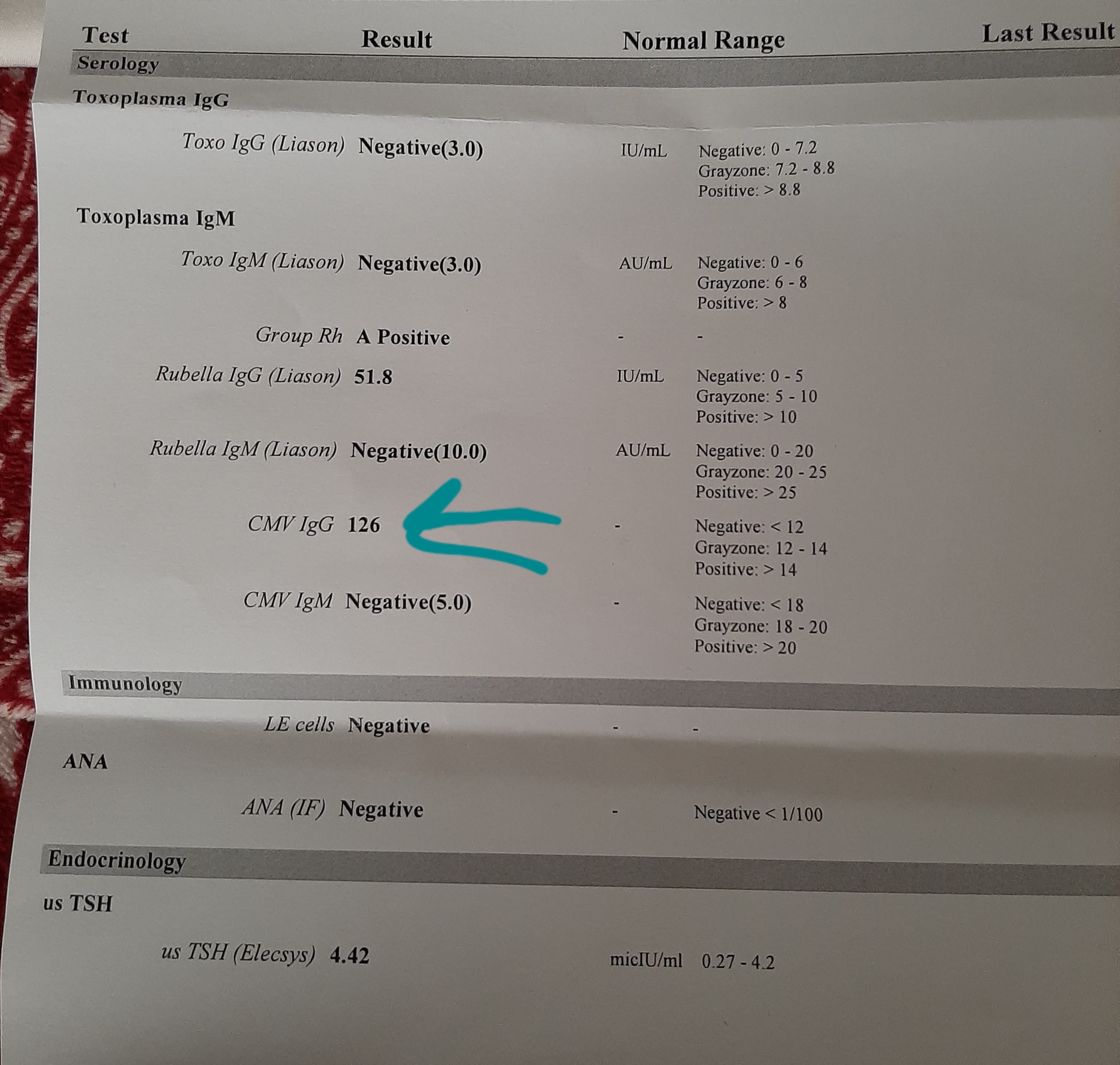 ٢٠٢٢٠٥٢٤_١٢١٨٠٦