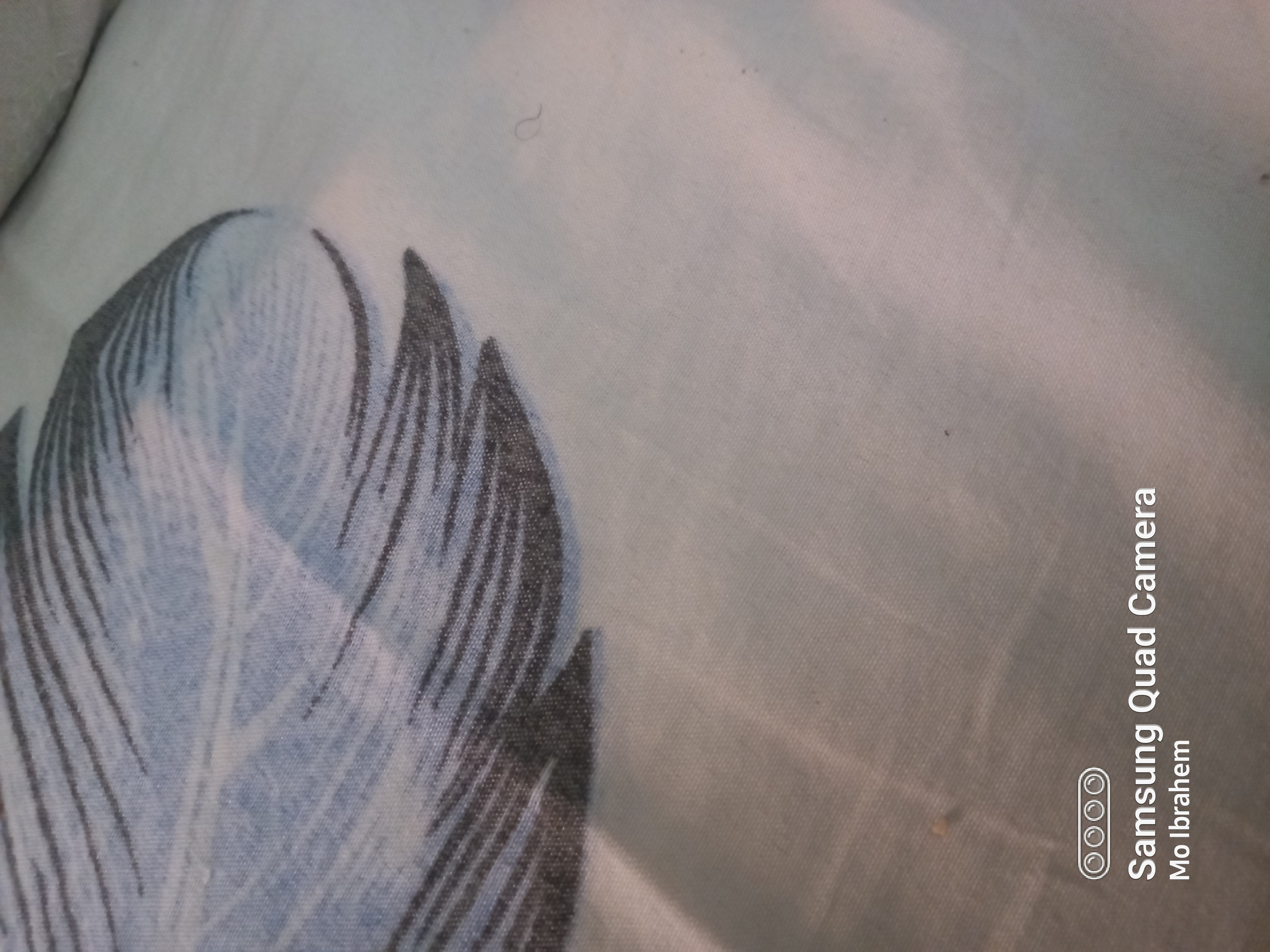 16590247127638766438429332774011