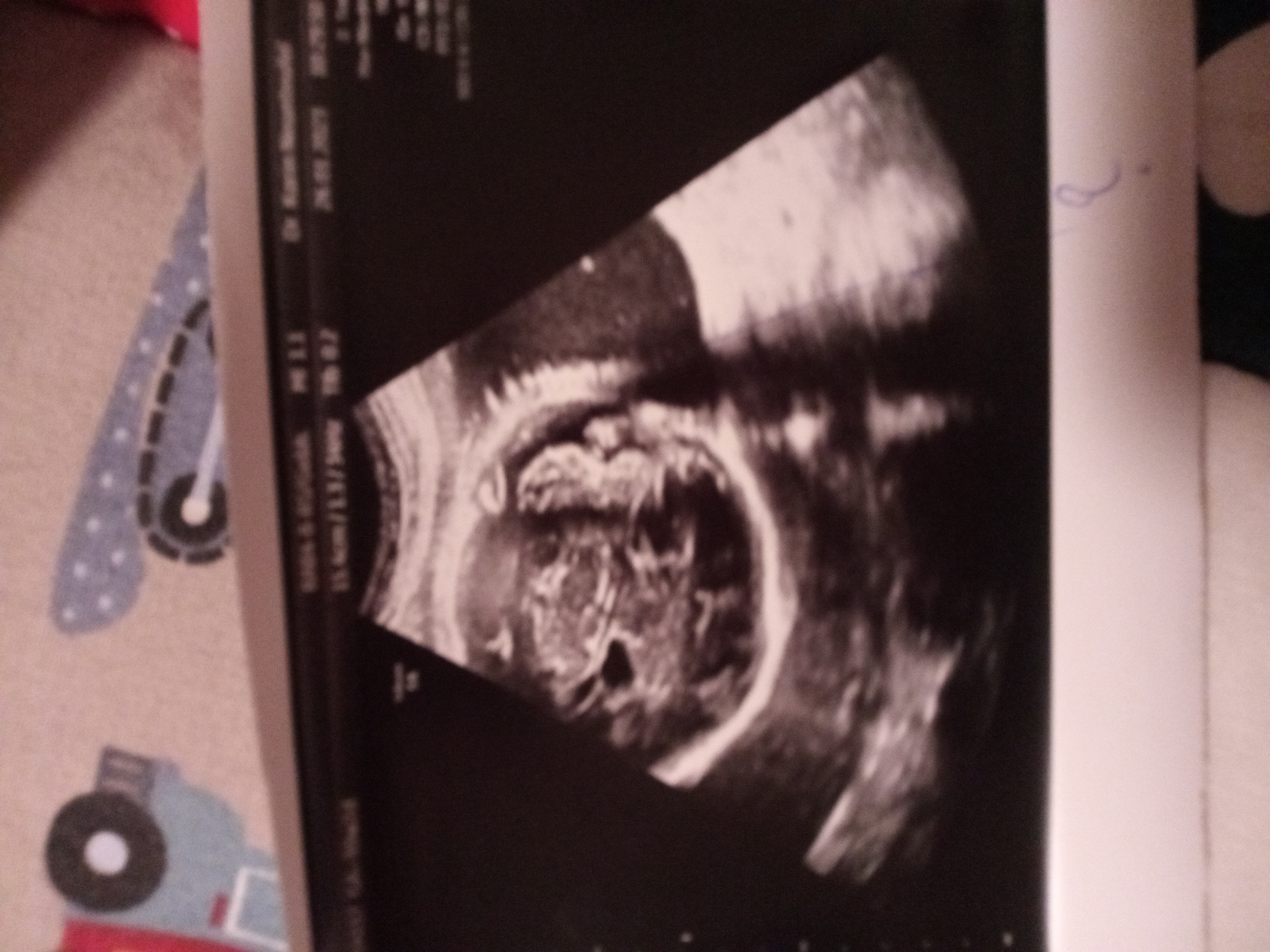 167474888359324105531039008168