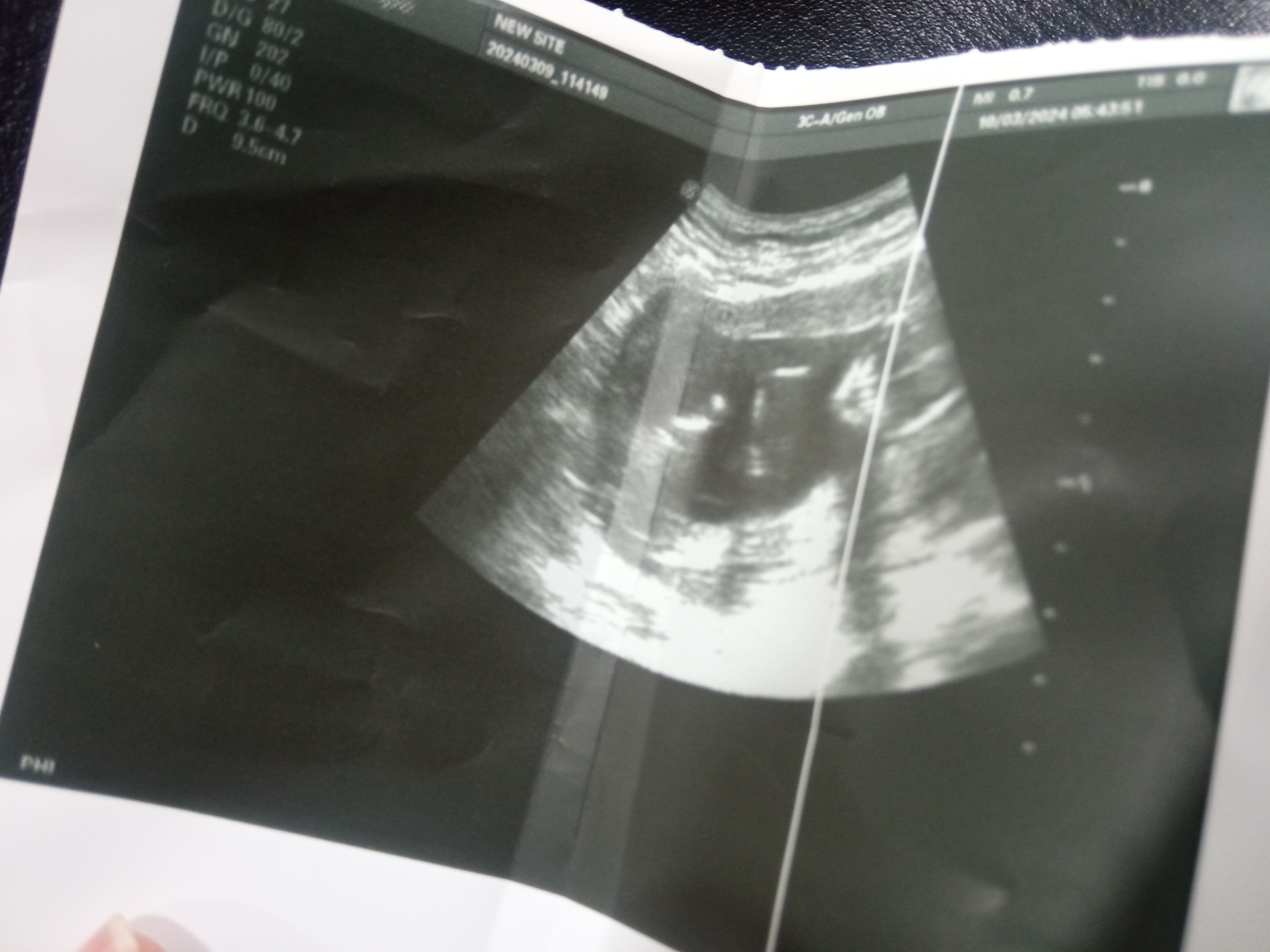 IMG_٢٠٢٣٠٣١١_١٦٥٣٠٥