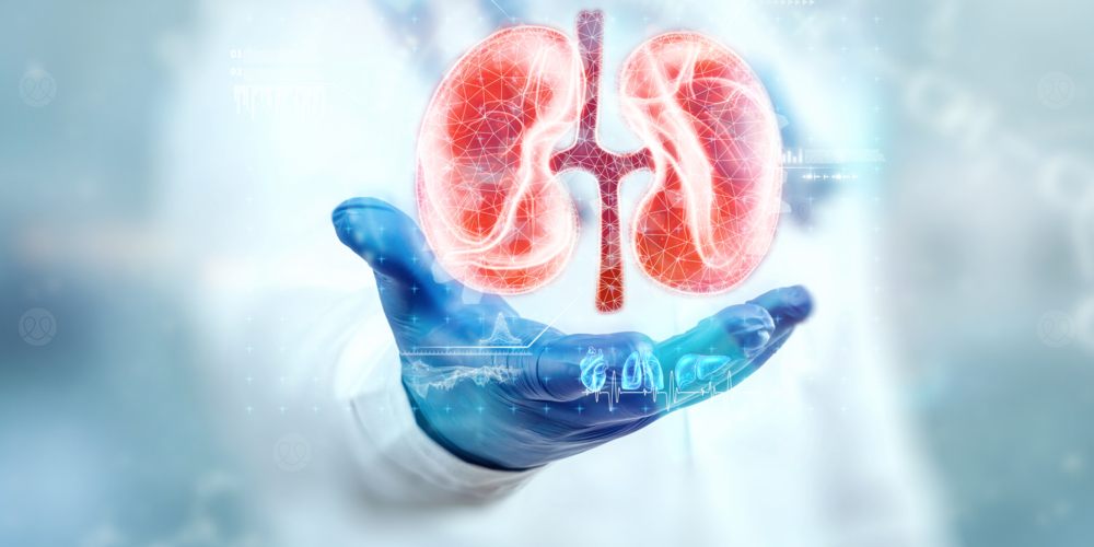 امراض الكلى