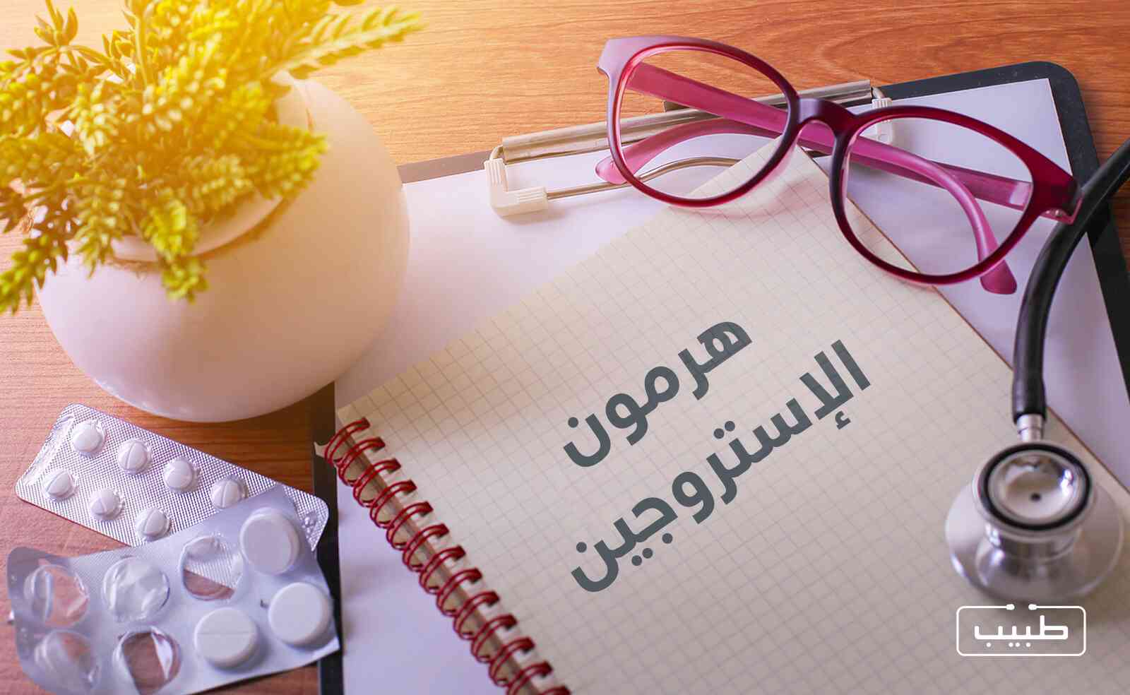 61d477f9-28e2-4ad4-a392-2b31a051744e