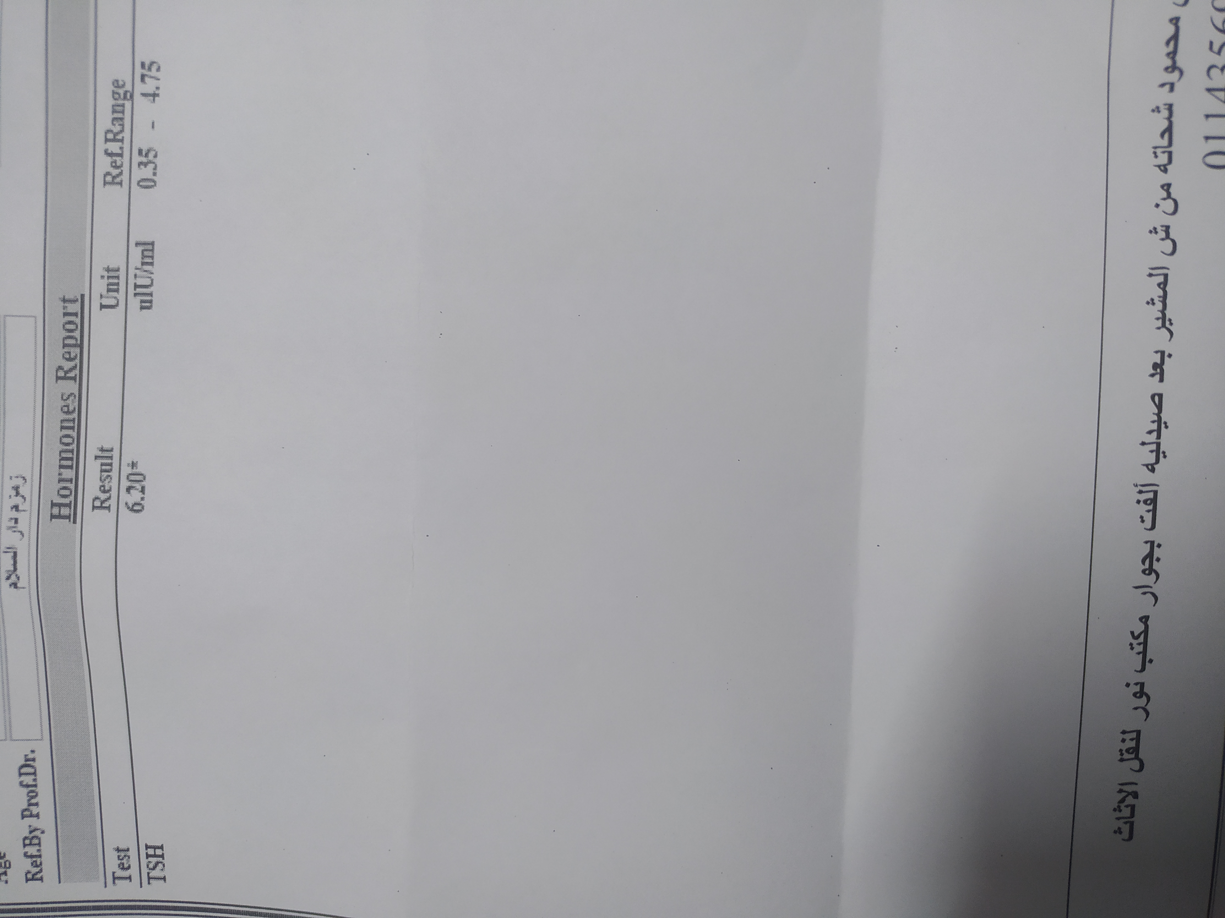 17025766385222676487093700620619