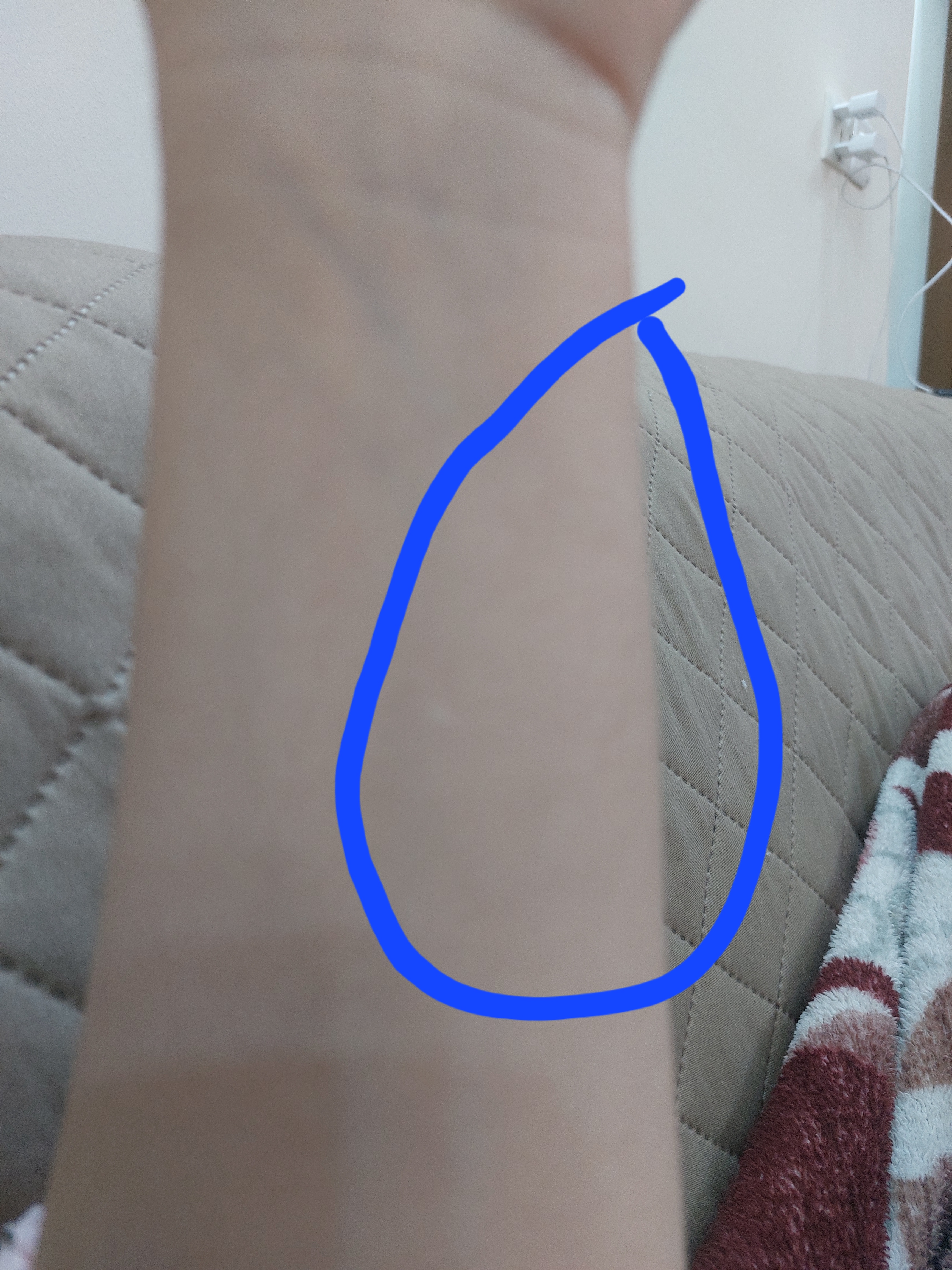 ٢٠٢٣١٢٢٣_١٣٣٣٥٨