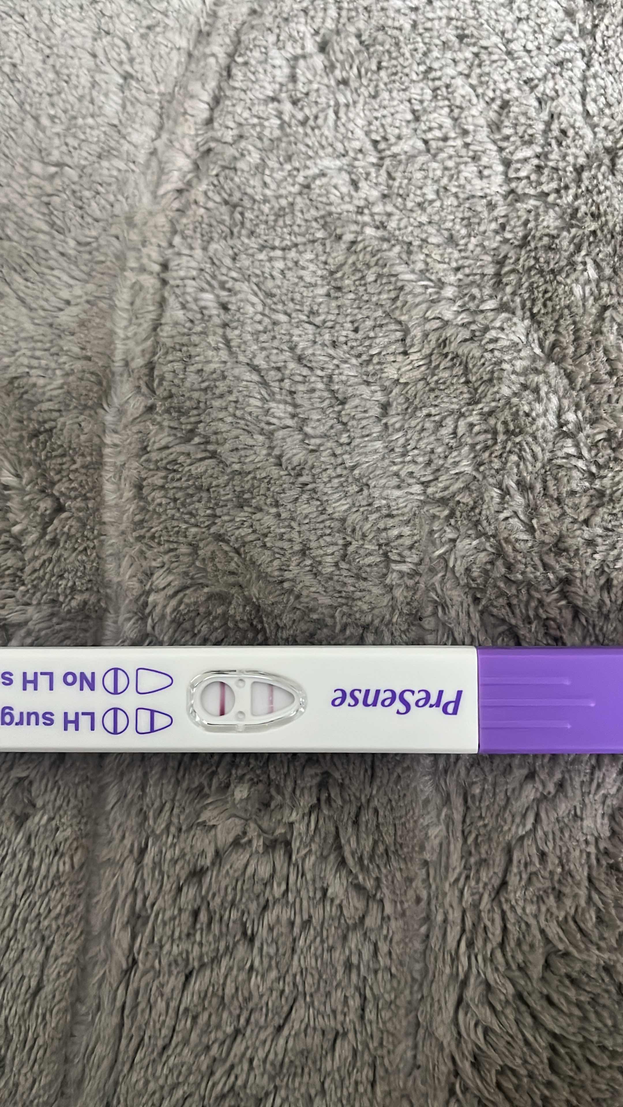 3187CD47-3562-4CD7-AAA0-5A7578A53673