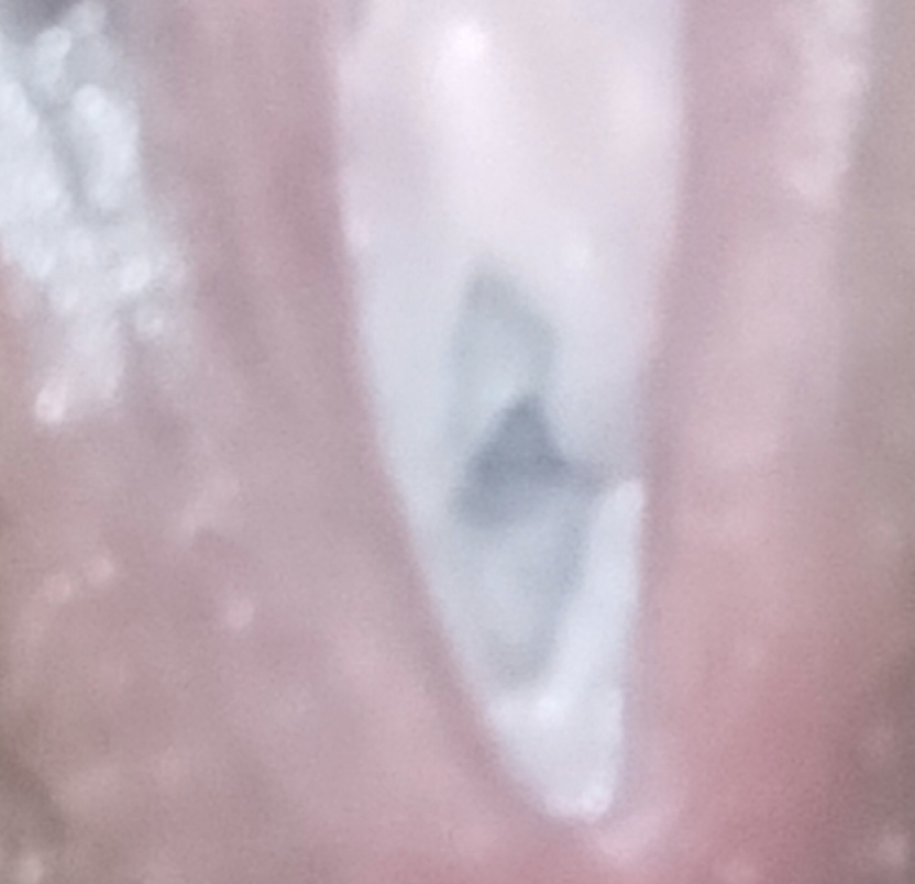 1710576480659