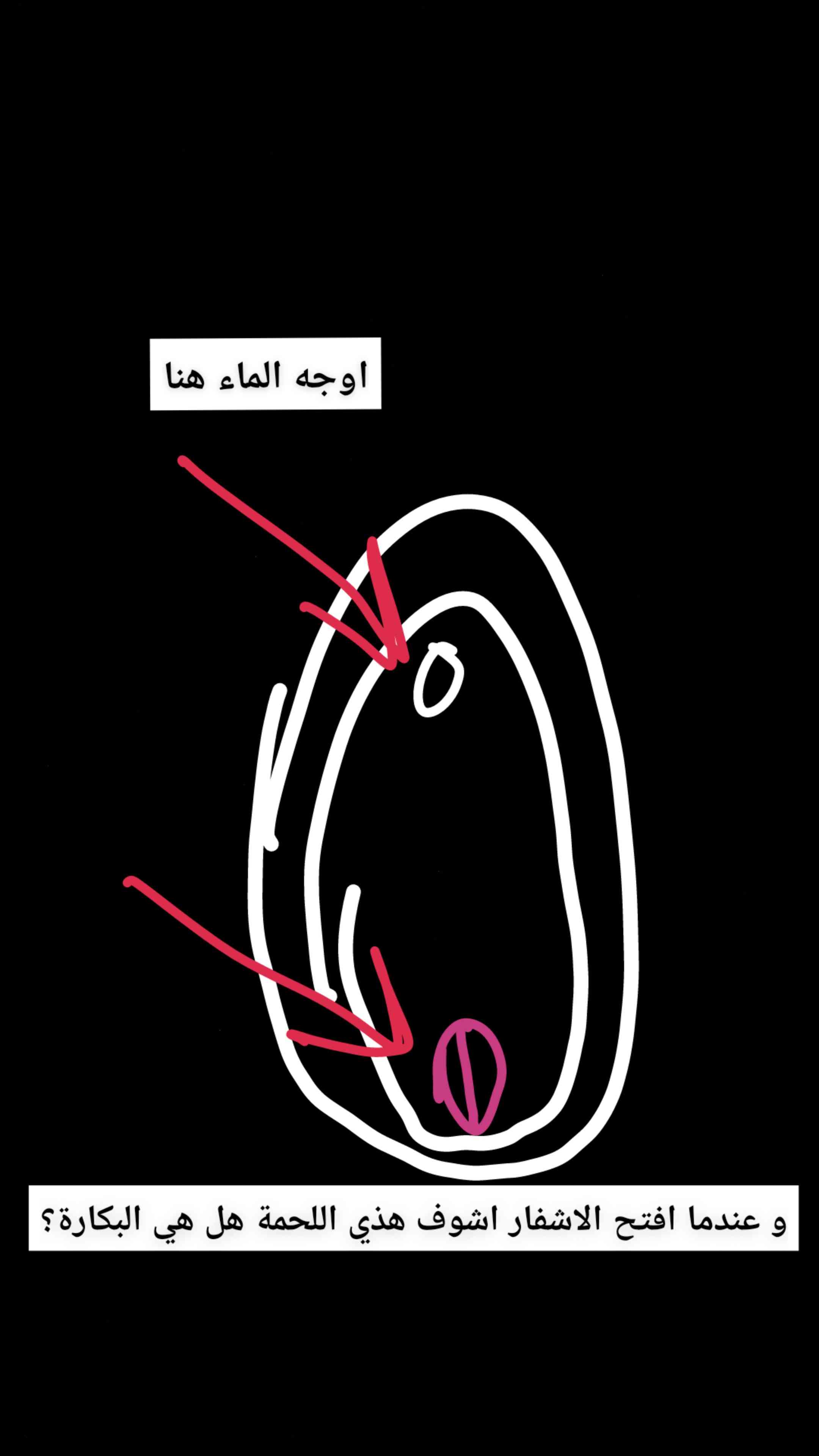 7c88e0e1-8162-4f2e-8139-d5c9f2590bf0