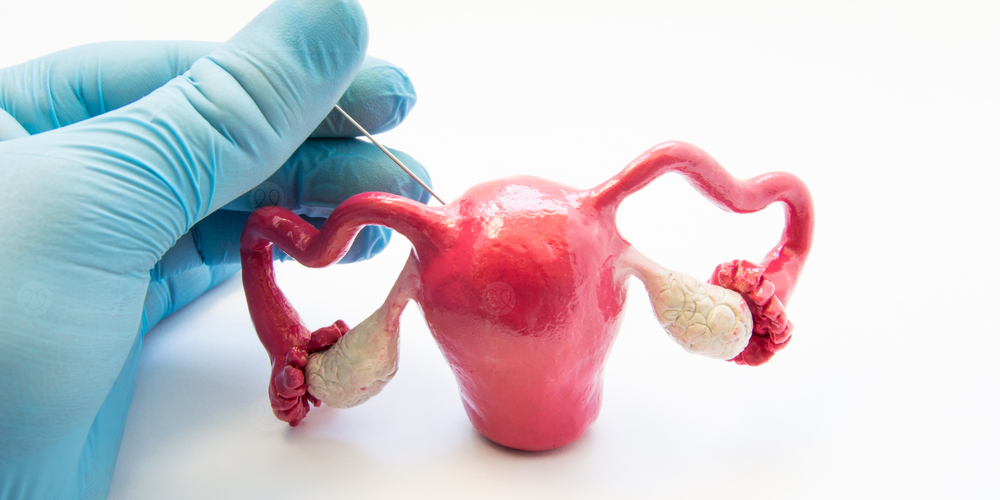 خزعة بطانة الرحم